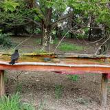 photo 2021-04-26 15-21-58