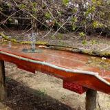 photo 2021-04-07 12-35-53