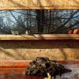 photo 2022-01-24 11-31-16