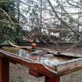 photo 2022-03-18 16-56-30