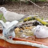 photo 2021-03-22 12-01-39 3g