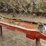 photo 2021-04-06 11-03-13