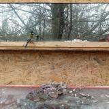 photo 2022-01-17 12-35-11