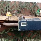 photo 2021-02-10 10-14-11