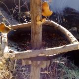 photo 2019-02-06 09-41-35