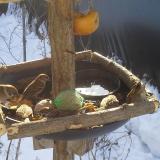 photo 2019-01-27 09-53-48