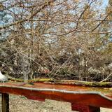 photo 2021-03-27 11-42-00