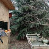 photo 2021-12-22 12-59-17