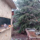 photo 2021-12-29 08-02-30