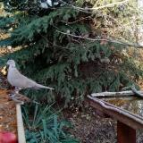 photo 2021-11-12 14-24-43