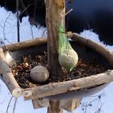 photo 2019-01-11 14-03-39