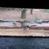 photo 2021-12-09 08-28-46