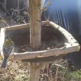 photo 2019-03-06 08-29-47