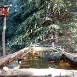 photo 2023-10-16 09-57-01