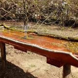 photo 2021-04-01 11-42-29