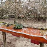 photo 2021-03-23 08-11-24