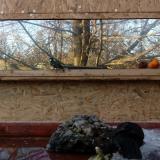 photo 2022-01-24 14-57-16