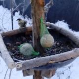 photo 2019-01-11 08-15-27