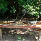 photo 2021-07-22 10-35-19