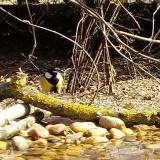 photo 2021-03-11 09-57-43 cinke