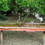 photo 2021-05-06 12-23-13