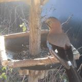 photo 2019-12-26 10-09-11