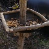 photo 2019-01-04 11-31-02