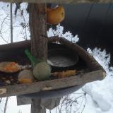 photo 2019-01-25 16-00-56