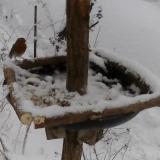 photo 2019-01-05 13-16-29