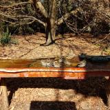 photo 2021-10-28 12-27-17