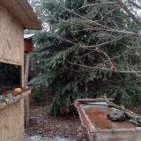 photo 2021-12-27 14-10-36