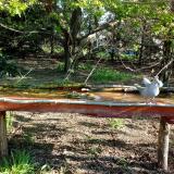 photo 2021-04-24 07-54-02