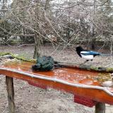 photo 2021-03-22 07-19-22