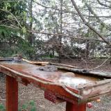 photo 2022-03-31 08-27-58