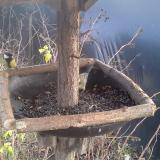 photo 2019-12-25 14-27-39