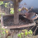 photo 2019-12-12 12-01-20