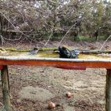 photo 2021-03-15 08-58-24