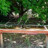 photo 2021-05-26 07-53-34