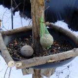 photo 2019-01-11 12-51-42