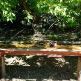 photo 2021-05-10 10-05-44