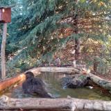 photo 2023-10-14 08-02-47