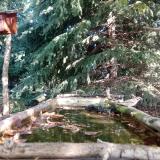 photo 2023-10-06 11-14-07