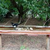 photo 2021-07-14 13-43-53