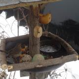 photo 2019-01-28 15-26-48