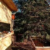 photo 2021-12-31 09-49-44