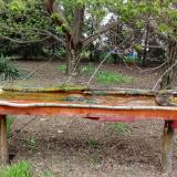 photo 2021-04-20 12-28-52