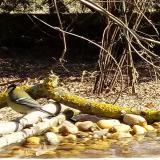 photo 2021-03-11 09-55-59 cinke