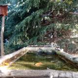 photo 2023-10-12 10-09-36