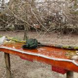 photo 2021-03-24 11-44-02