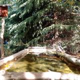 photo 2023-10-12 12-35-41